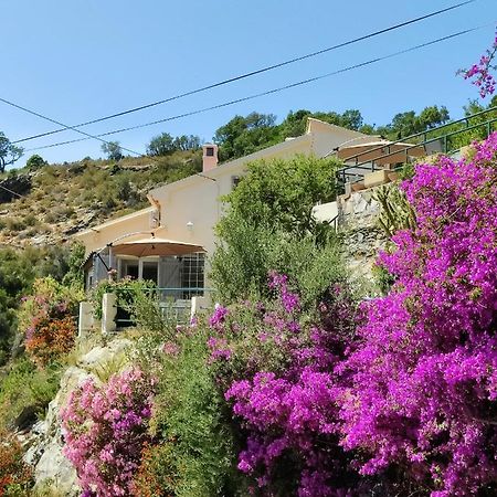 La Vallicella Farinole المظهر الخارجي الصورة