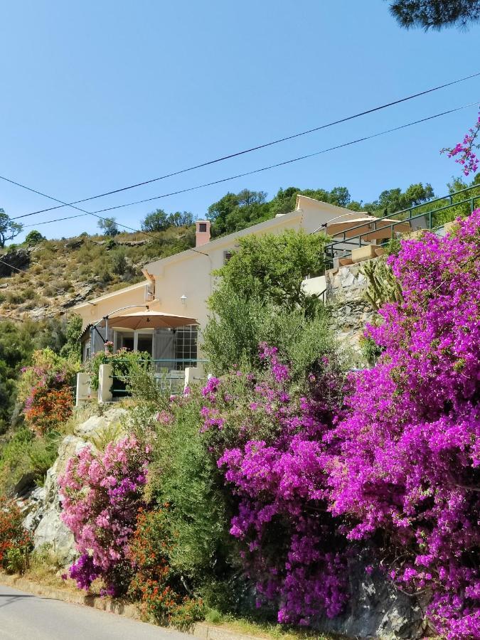 La Vallicella Farinole المظهر الخارجي الصورة